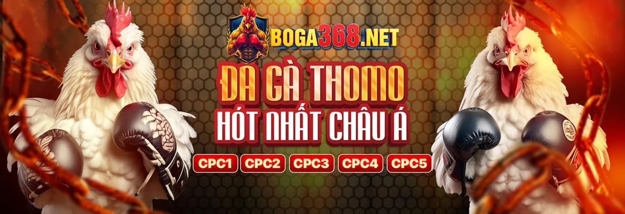 Đá gà kịch tính tại 55vin login